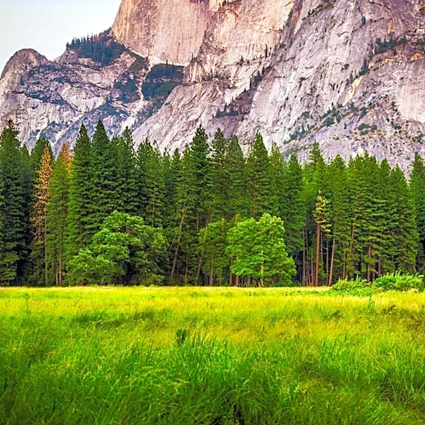 Trump Administration Policies Strain U.S. National Parks, Impacting Staff and Visitor Experience
