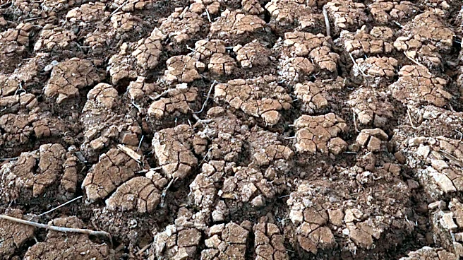 Pathfinder Irrigation District Shuts Down Early Due to Historic Drought in Eastern Wyoming
