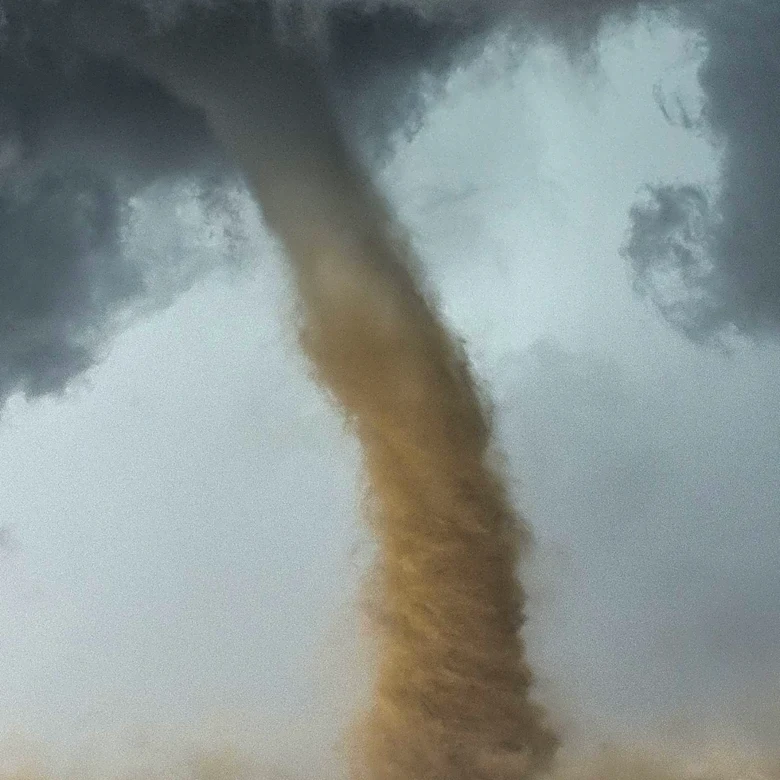 Cook and Will Counties Declare Disaster Following Tornado Damage