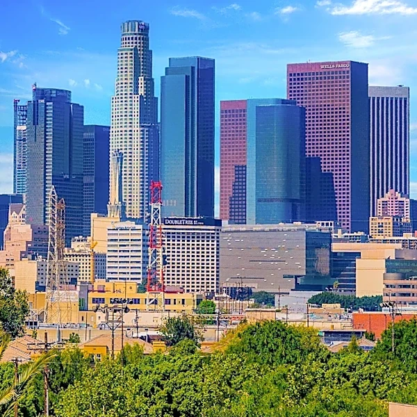 Los Angeles Faces Rising Cases of Flea-Borne Typhus, Health Officials Issue Urgent Warning
