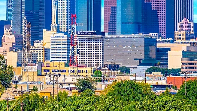 Los Angeles Faces Rising Cases of Flea-Borne Typhus, Health Officials Issue Urgent Warning