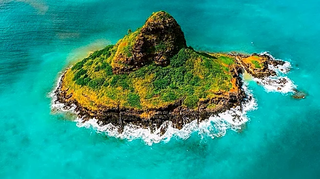 Hawaii Health Department Confirms Fourth Cyclosporiasis Case, Maintains Low Risk Level