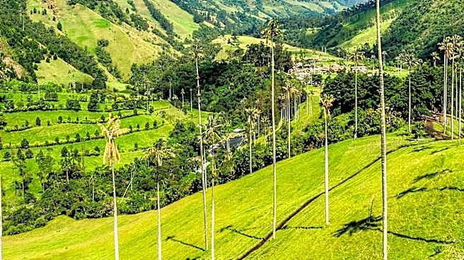 Colombia's Deforestation Increases by 5% in 2025 Amidst Environmental Policy Shifts