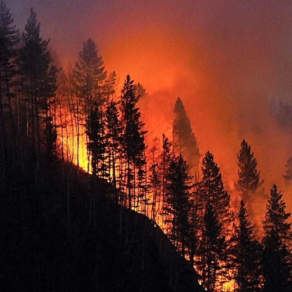 Governor Ferguson Declares Statewide Wildfire Emergency Amid Extreme Conditions in Washington