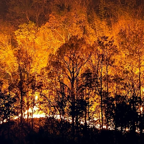 Wildfire Threat in Europe Shifts to Greece Amidst Ongoing Evacuations in France