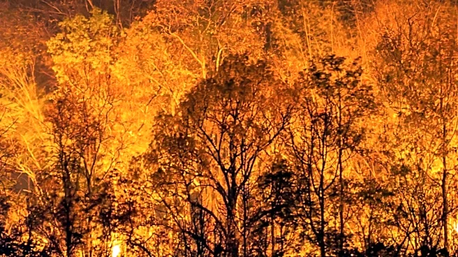 Wildfire Threat in Europe Shifts to Greece Amidst Ongoing Evacuations in France