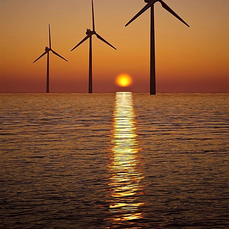 Portugal's Offshore Wind Farm Enhances Marine Biodiversity and Energy Production