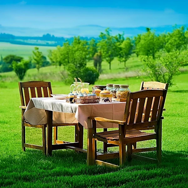 High Beef Prices Lead to Changes in Summer Cookout Menus Across the U.S.