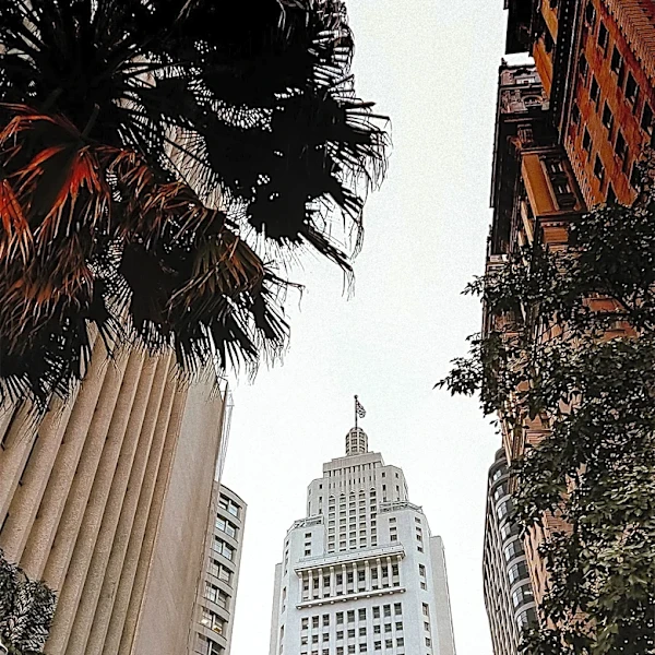Retired Executive's Tree Planting Transforms Sao Paulo's Urban Landscape