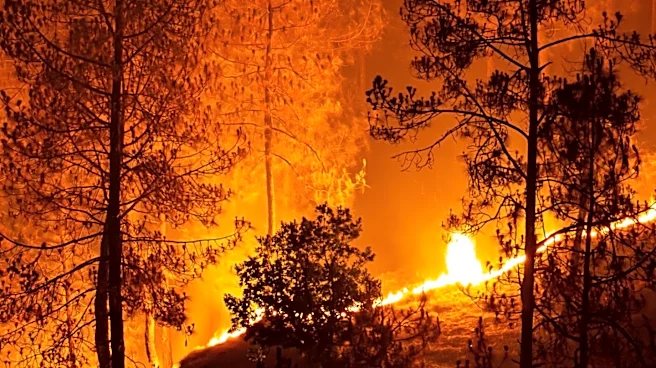 Heatwave in Western US Elevates Wildfire Risks Amid Drought Conditions