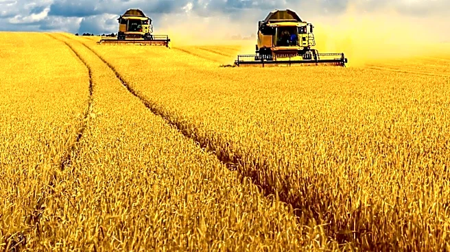 Saskatchewan Senator Todd Lewis Passes Away at 65, Impacting Canadian Agriculture