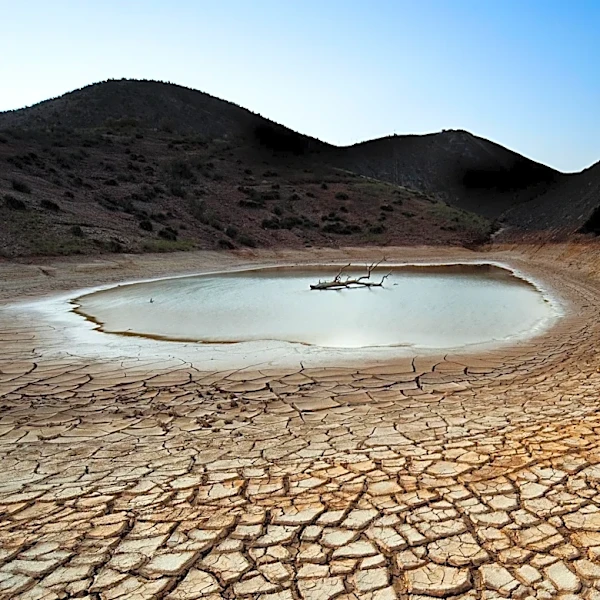 Fishing Restrictions Imposed in U.S. West Due to Record Heat and Drought