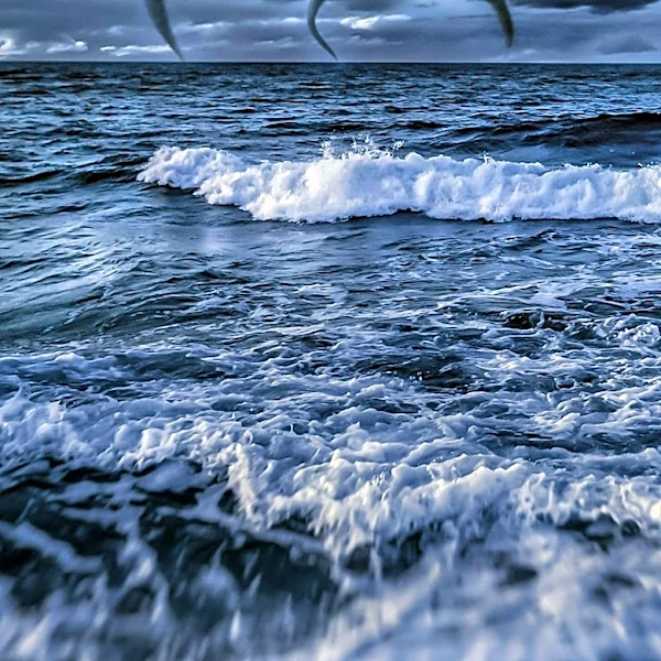 Climatologist Warns of Increasing Extreme Weather Events Amid Global Warming
