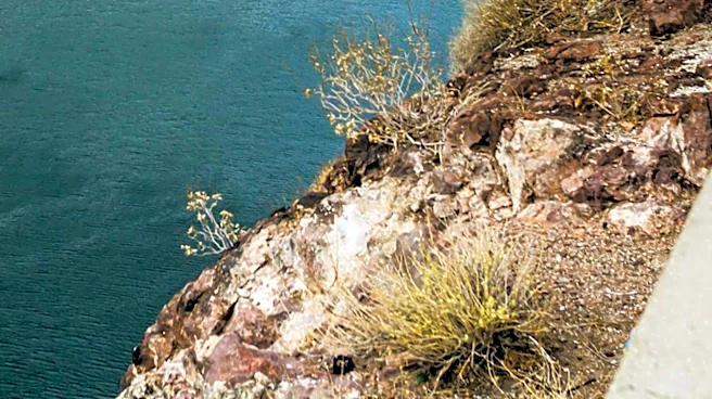 Colorado Reservoirs Close Boat Ramps Amid Dropping Water Levels, Initiate Fish Salvage