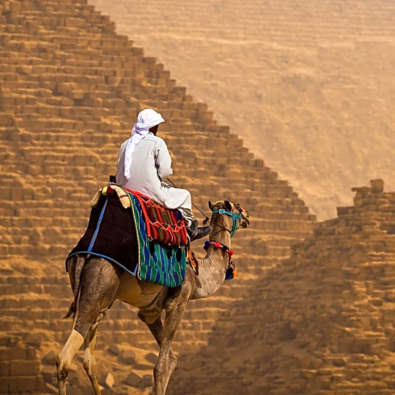 Ancient Egyptian Art Reveals Rare Instances of Horseback Riding