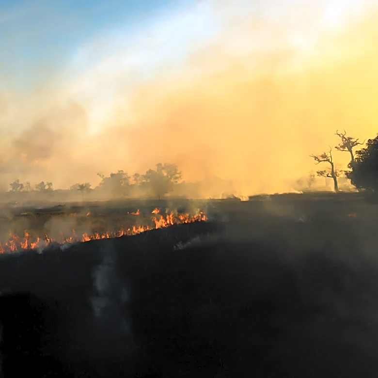 Washington Governor Declares State of Emergency Amidst Wildfires Threatening Spokane County