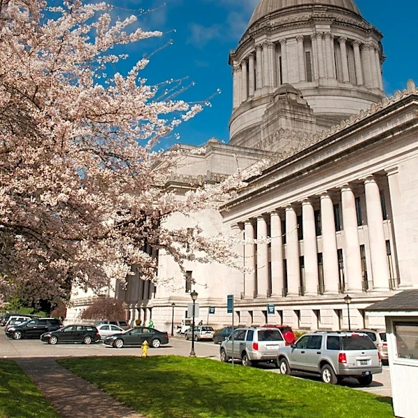 Oregon's Sentencing Reform for Domestic Violence Survivors Faces Legislative Hurdles