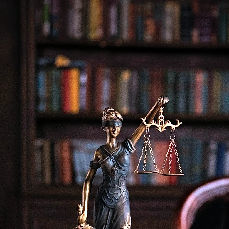 Legal Principles in Estate Litigation Highlighted Amid Concerns Over 'Legacy Hunters'