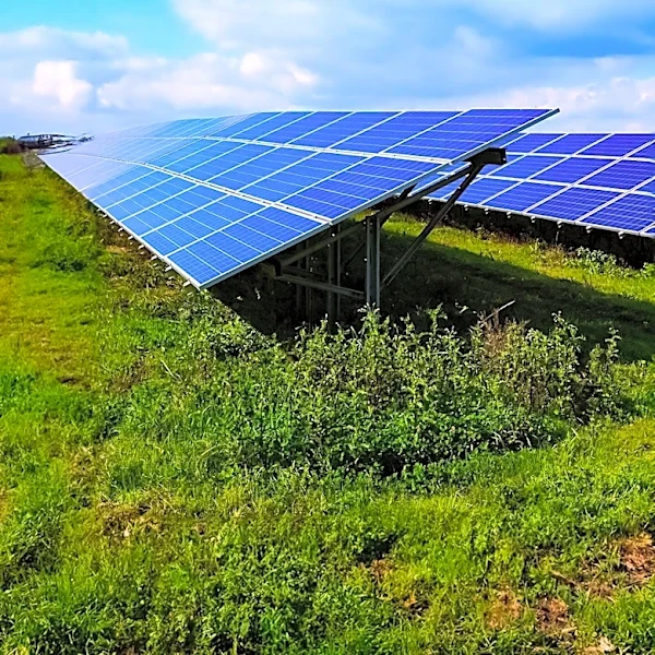Solar Power Achieves Record Share in Britain's Electricity Mix in July