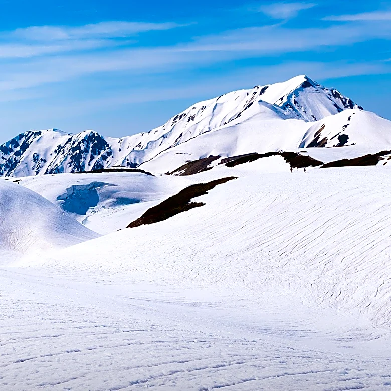 Avalanche in Pakistan Claims Lives of International Climbers, Including American Mallory Geis