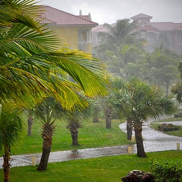 South Florida Braces for Afternoon Storms Amid High Heat and Humidity