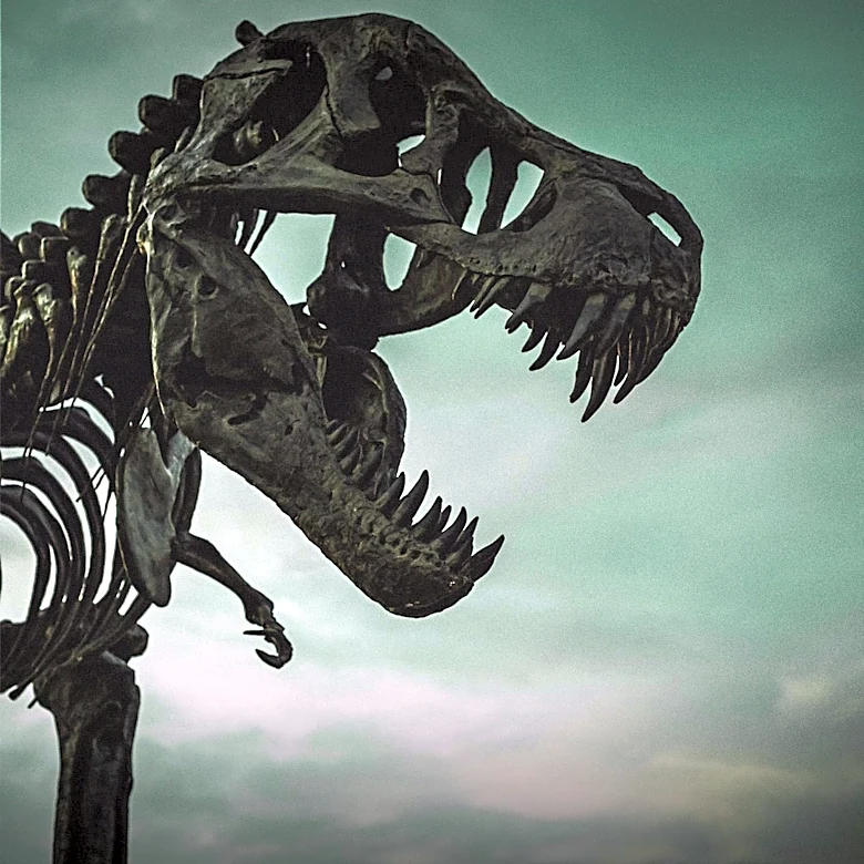 Paleontologists Estimate 2.5 Billion T. Rex Lived, Highlighting Fossil Record Gaps