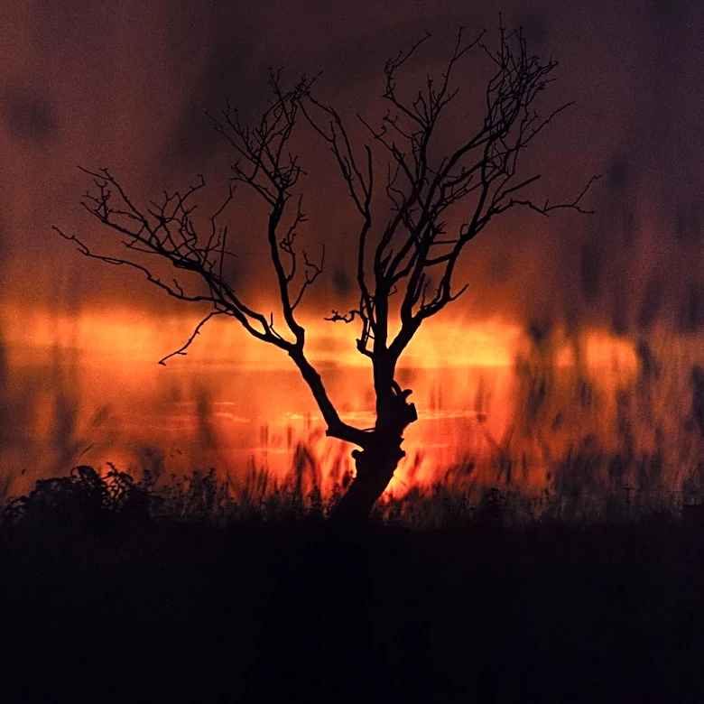 Washington State Wildfires Prompt Evacuations and Emergency Declaration