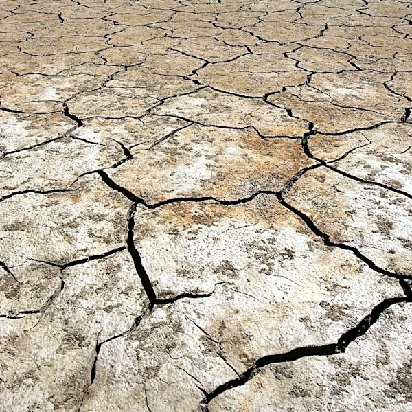 Drought in England and Wales Highlights Water Scarcity and Inequality