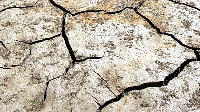 Drought in England and Wales Highlights Water Scarcity and Inequality