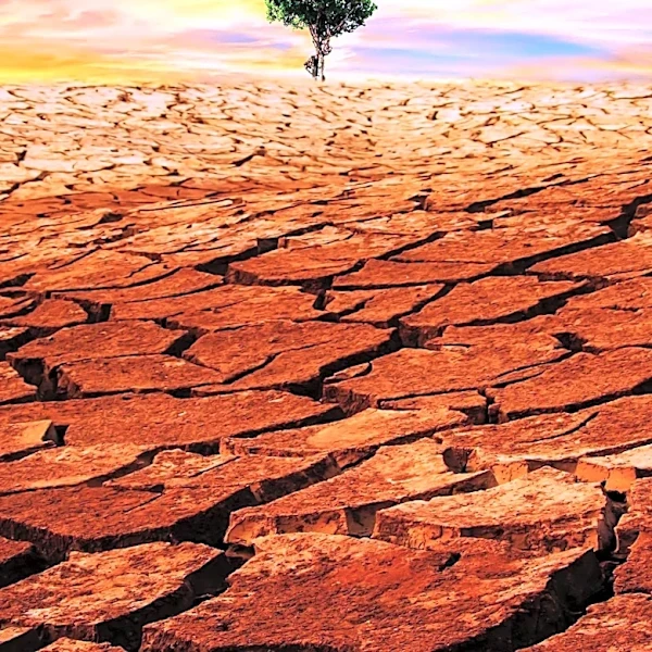 Judicial Reference Manual Sparks Climate Change Debate and Calls for Investigation