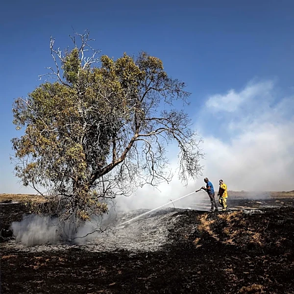 Washington Declares Statewide Emergency and Burn Ban Amid Wildfire Threat