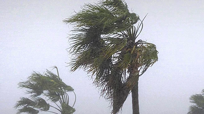 Strong Winds Cause Power Outages in West Kelowna