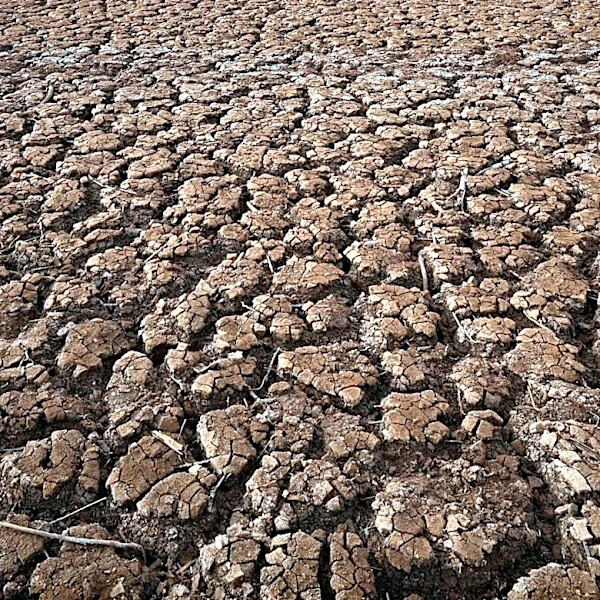 Severe Drought in Colorado Threatens Water Supply and Power Production