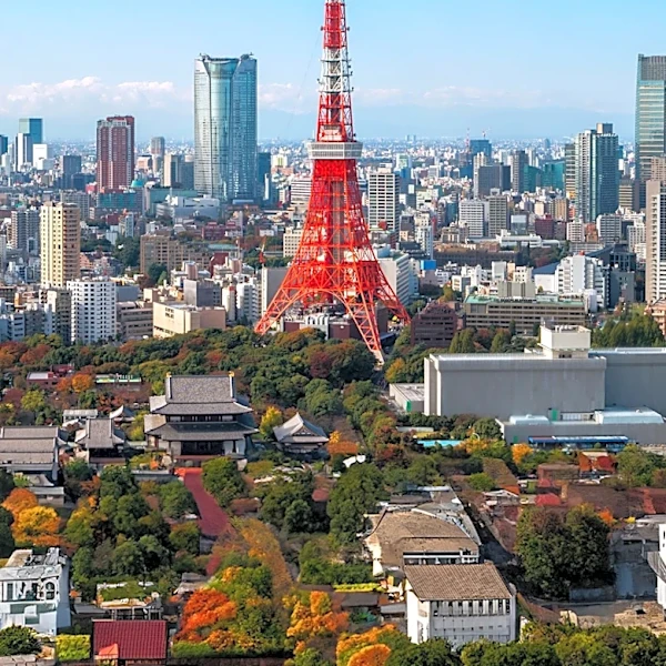 Japan and U.S. Coordinate to Stabilize Yen Amid Economic Pressures