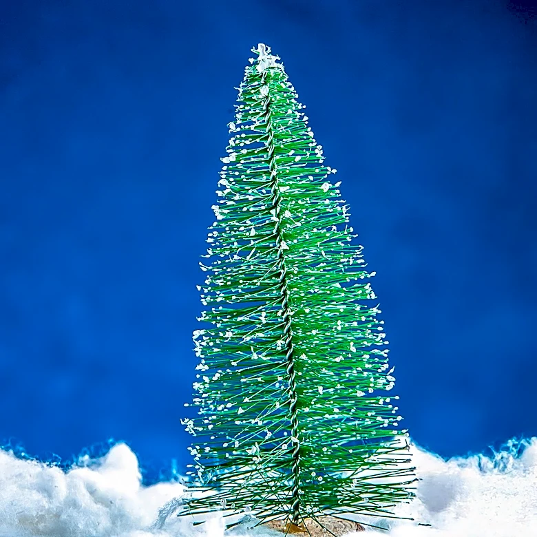 New Orleans Recycles Christmas Trees to Restore Coastal Wetlands
