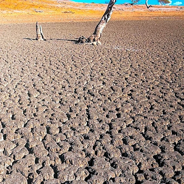 Montana Governor Greg Gianforte Announces Federal Drought Disaster Designation for Five Counties