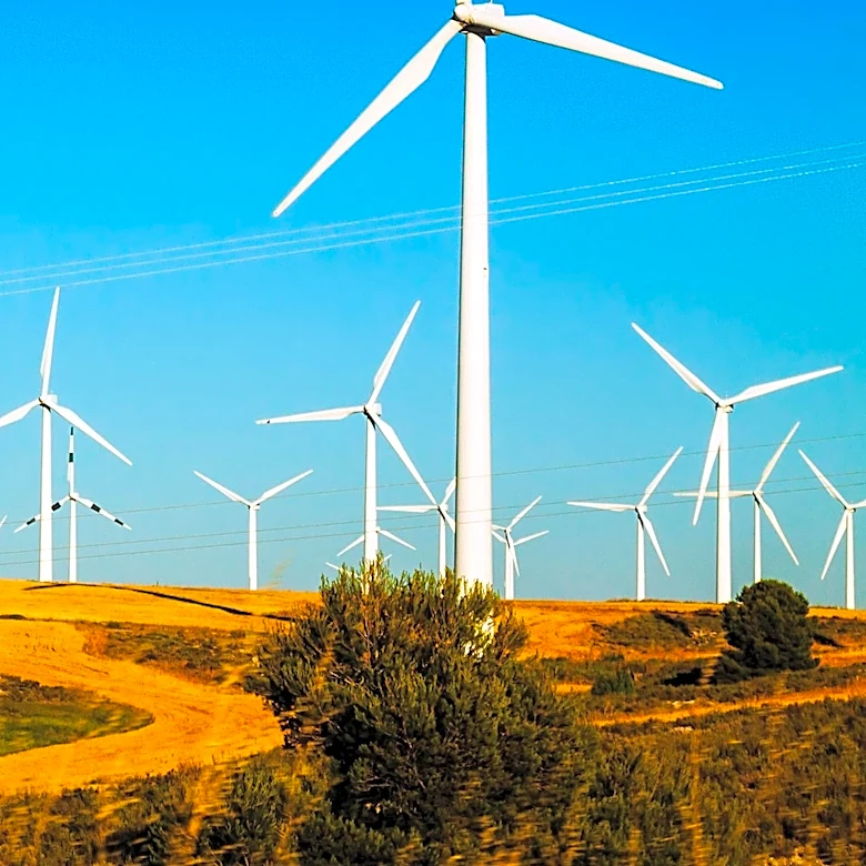 Wind Farm Sparks Cause Major Fire in Western Attica, Leading to Arrests