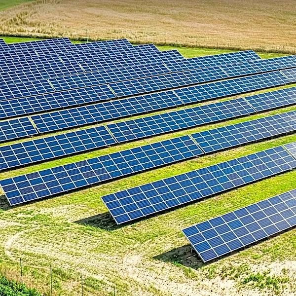 Mexican Graduates Innovate with Agrivoltaic System Combining Solar and Agriculture