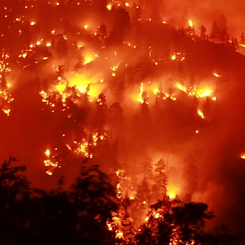 Wildfire Crisis in Spokane, Washington Prompts State of Emergency