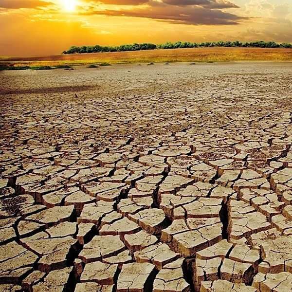 UNEP Report Warns Climate Transition Could Exacerbate Inequality Without Human Rights Protections