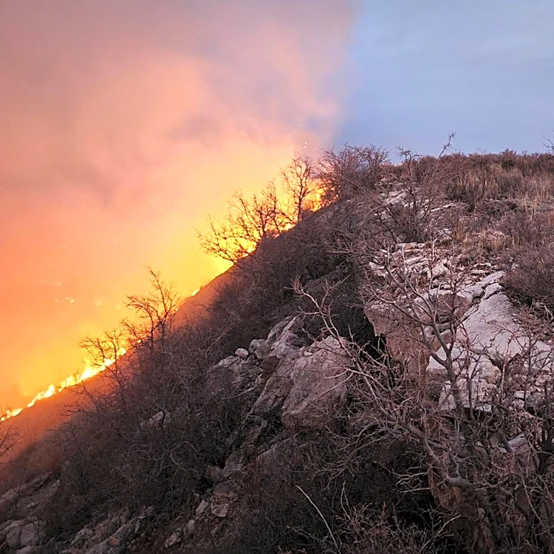 Big Rock Fire in Idaho Expands, Threatening Homes and Infrastructure