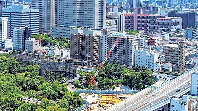 Japan Earthquake Aftermath: Heat Stroke Deaths and Resource Shortages