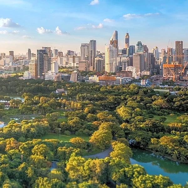 Boston Residents Petition for Legal Protections for Arnold Arboretum Against Development Threats