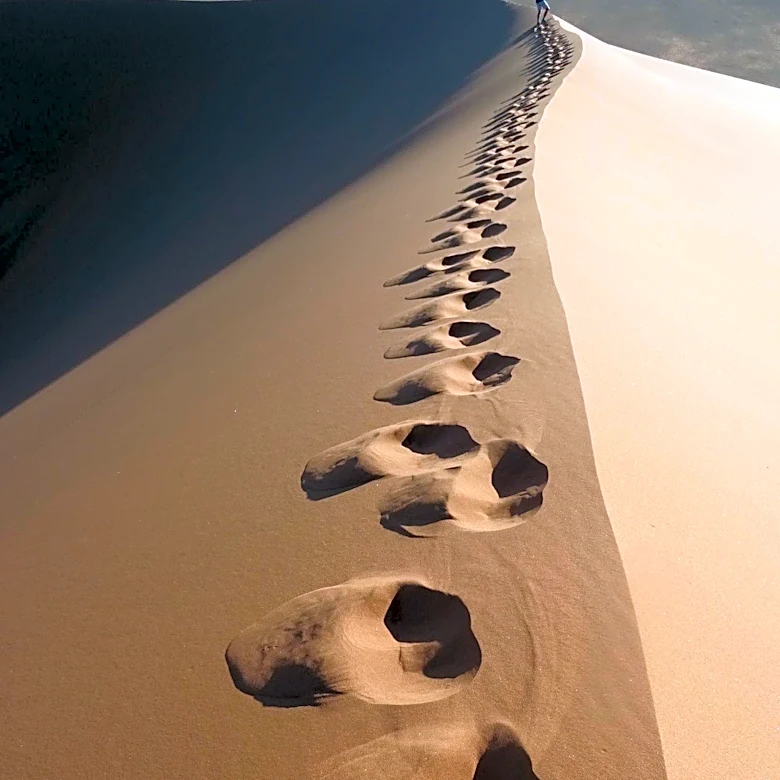 Discovery of Human Footprints in Utah Raises Questions About Cambrian Fossils