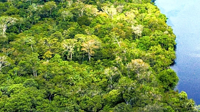 Peru Combines Air Force and AI to Combat Amazon Deforestation