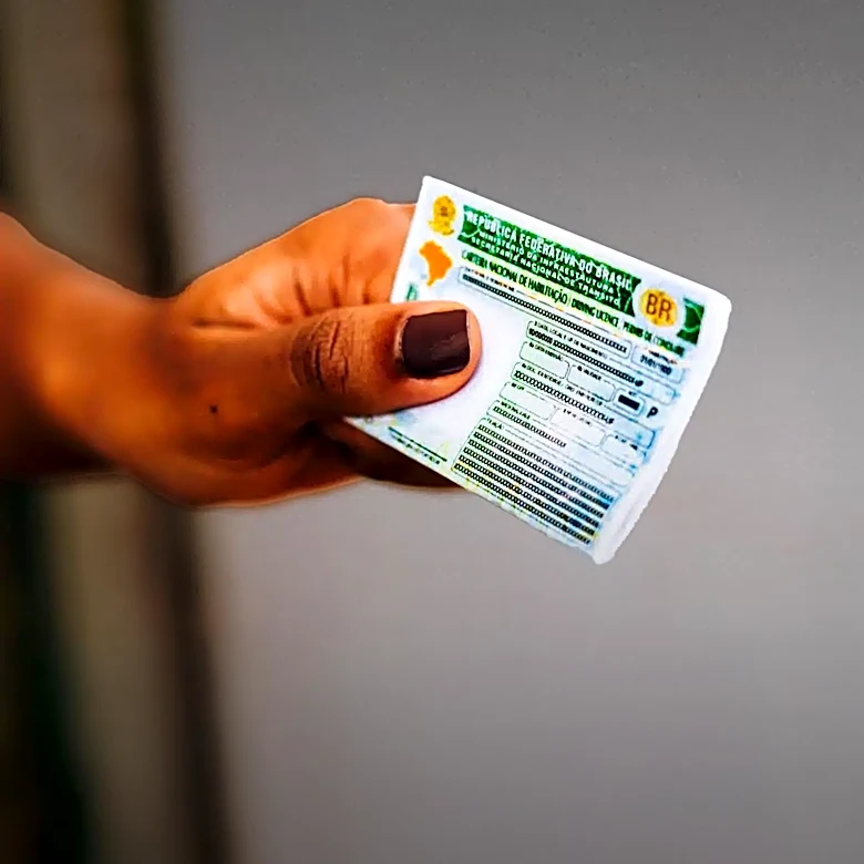 Florida Traffic Stop Reveals Woman's Fake IDs and Identity Fraud