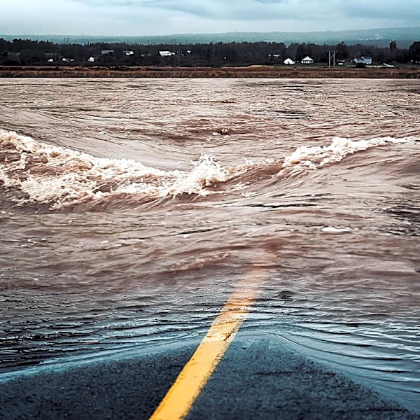 NWS Issues Flood Warning for Southeastern Cook County, Illinois Due to Excessive Rainfall