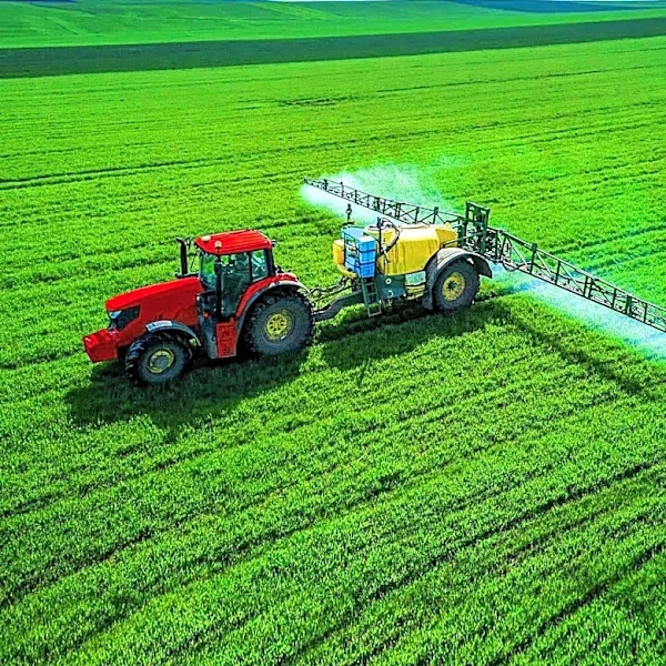 NYU Researchers Discover Mechanism to Enhance Crop Fertilizer Efficiency