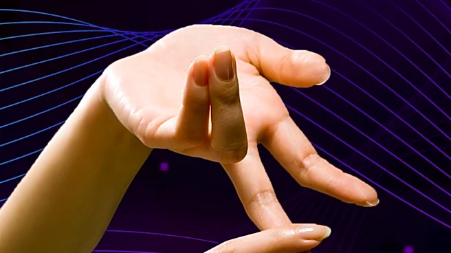 Brazilian Sign Language Gains Recognition and Integration in Society