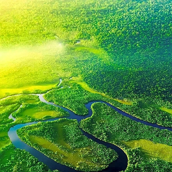 Guyana Launches New Environmental Education Curriculum to Support Wildlife Conservation